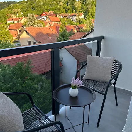 Apartment Mila Banja Koviljaca